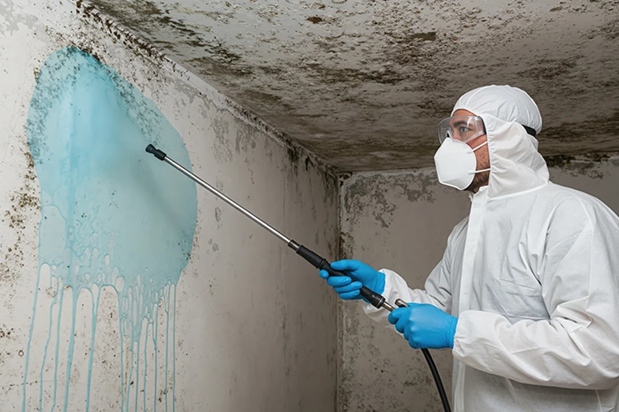 Mold removal technician
