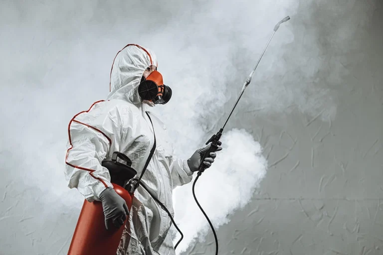 mold remediation technician holding mold sanitization equipment