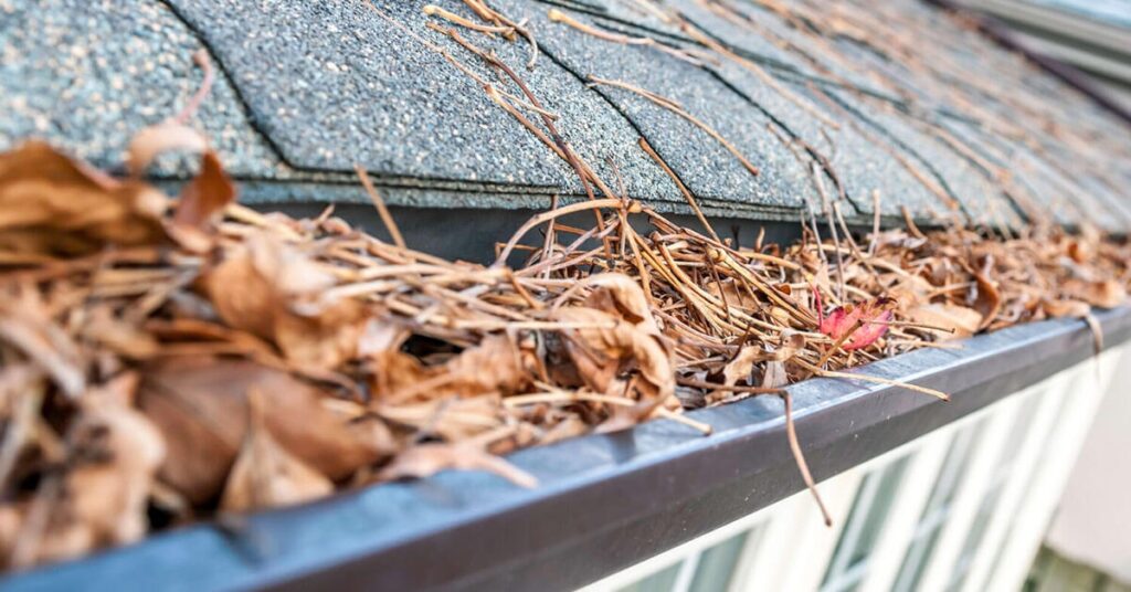 Tips For Preventing Water Damage In Your Home