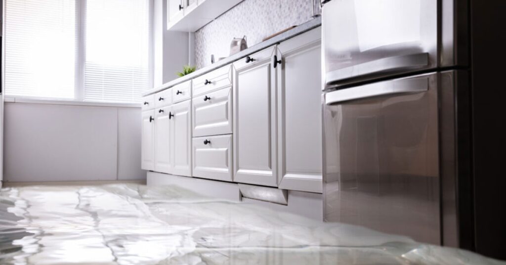 Managing Water Damage And Kitchen Appliances