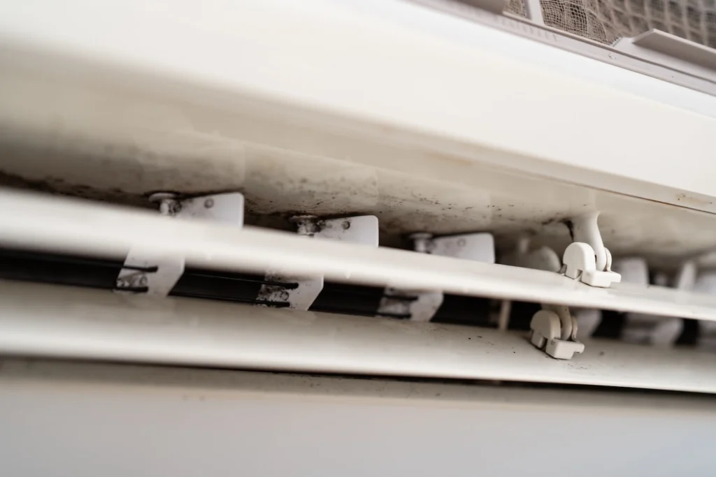 Mold inside of AC Unit