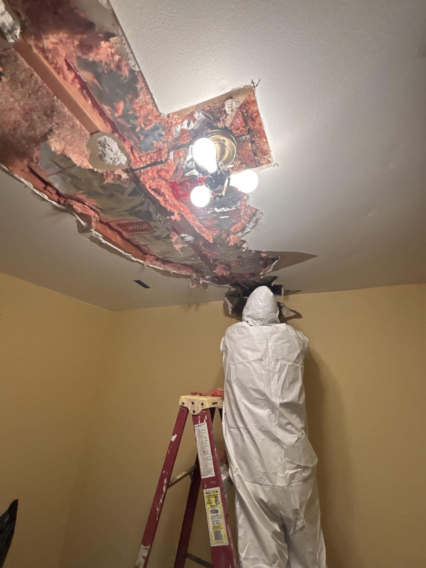 Does homeowners insurance cover a burst pipe or an appliance leak? | On-Site Specialty Cleaning + Restoration On-Site technician in a protective suit on a ladder removing a wet bedroom ceiling in Dearborn Heights after a tree fell in a storm and rain got in