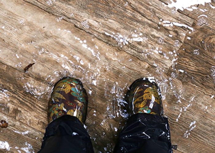 The Mistakes To Avoid When Dealing With Flood Damage